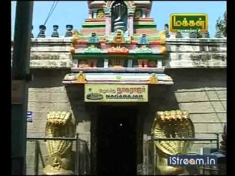 Nagaraja Temple Nagercoil – famous serpent god temple in Tamil Nadu

